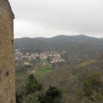 DSCN3005