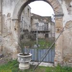 DSCN3007