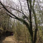 DSCN3108