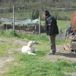 DSCN3174