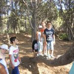 DSCN3606