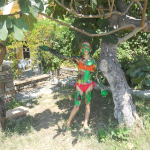 DSCN4182